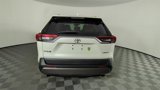 Used 2019 Toyota RAV4 Limited image 5