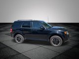 Used 2012 Ford Escape XLT image 2