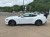 Used 2024 Ford Mustang Coupe image 4