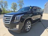 Used 2019 Cadillac Escalade Luxury image 3