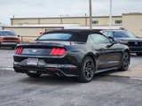 Used 2022 Ford Mustang Premium image 5