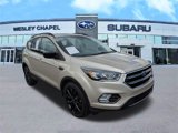 Used 2017 Ford Escape SE w/ SE Sport Appearance Package image 2