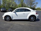 Used 2013 Volkswagen Beetle 2.5 image 4