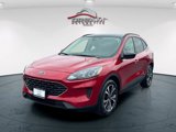 Used 2022 Ford Escape SE image 4