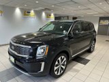 Used 2020 Kia Telluride EX w/ EX Premium Package image 3