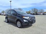 Used 2022 Ford EcoSport SE w/ SE Convenience Package image 3