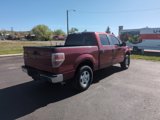 Used 2014 Ford F150 XLT image 5