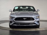 Used 2023 Ford Mustang Premium image 5