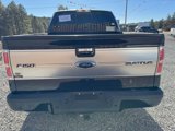 Used 2014 Ford F150 Platinum image 4