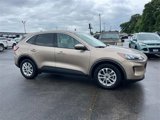 Used 2021 Ford Escape SE image 2