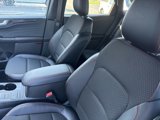 New 2025 Ford Escape ST-Line image 6