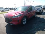 Used 2022 Ford Escape SE w/ Convenience Package image 3
