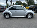 Used 2002 Volkswagen Beetle GLX image 6