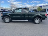 Used 2014 Ford F150 XLT w/ XLT Chrome Package image 2
