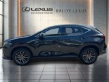 Certified 2023 Lexus NX 350 AWD w/ Premium Package image 6