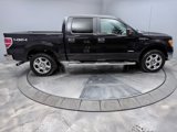 Used 2014 Ford F150 XLT w/ Equipment Group 302A Luxury image 4