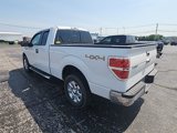 Used 2014 Ford F150 XLT w/ Equipment Group 302A Luxury image 5