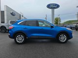 Used 2020 Ford Escape SE image 2