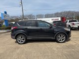 Used 2014 Ford Escape Titanium image 4
