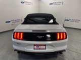 Used 2019 Ford Mustang Premium w/ Equipment Group 201A image 6