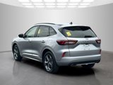 Used 2024 Ford Escape ST-Line image 3