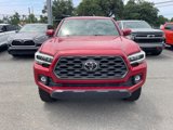 Used 2021 Toyota Tacoma TRD Off-Road image 2