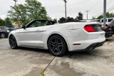 Used 2019 Ford Mustang Premium image 5