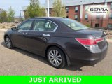 Used 2011 Honda Accord EX-L image 4
