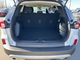 New 2025 Ford Escape Active w/ Cold Weather Package image 4