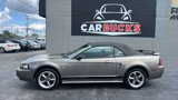 Used 2002 Ford Mustang Premium image 4