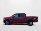 Used 2016 Ford F150 XLT w/ Equipment Group 302A Luxury image 4