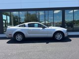 Used 2006 Ford Mustang Coupe image 2
