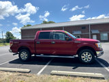 Used 2013 Ford F150 XLT w/ Luxury Equipment Group image 4