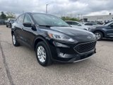 Certified 2022 Ford Escape SE w/ Cold Weather Package image 3
