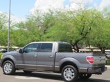 Used 2010 Ford F150 Platinum image 5