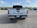 Used 2020 Ford F150 XLT w/ Equipment Group 302A Luxury image 4