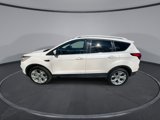 Used 2019 Ford Escape Titanium image 5