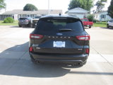 Used 2024 Ford Escape ST-Line image 5