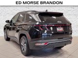 Used 2022 Hyundai Tucson Blue image 3