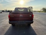 Used 2015 Ford F150 King Ranch w/ Equipment Group 601A Luxury image 5