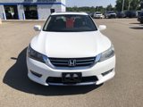 Used 2015 Honda Accord EX-L image 3