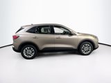 Used 2021 Ford Escape SE w/ Convenience Package image 4