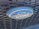 New 2024 Ford Transit 250 148 Medium Roof w/ Load Area Protection Package image 4