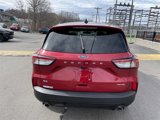 Used 2022 Ford Escape SE w/ SE Sport Appearance Package image 4