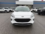 Used 2021 Ford Escape SE image 4