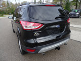 Used 2014 Ford Escape SE image 6