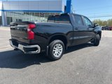 Used 2019 Chevrolet Silverado 1500 LT w/ All-Star Edition image 5
