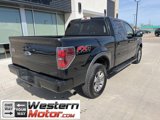 Used 2013 Ford F150 FX4 w/ Luxury Equipment Group image 5