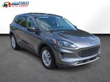 Used 2022 Ford Escape SE w/ Convenience Package image 4