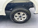 Used 2020 Ford F150 XL w/ Equipment Group 101A Mid image 6